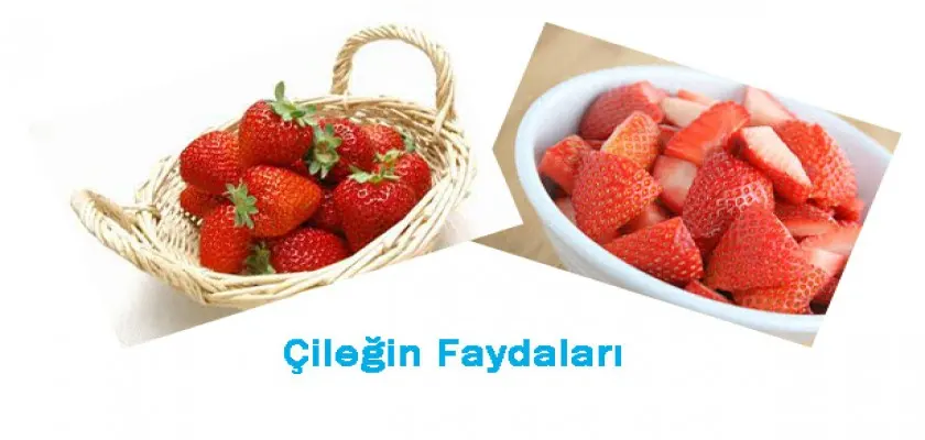 Çilek Yiyin Gençleşin