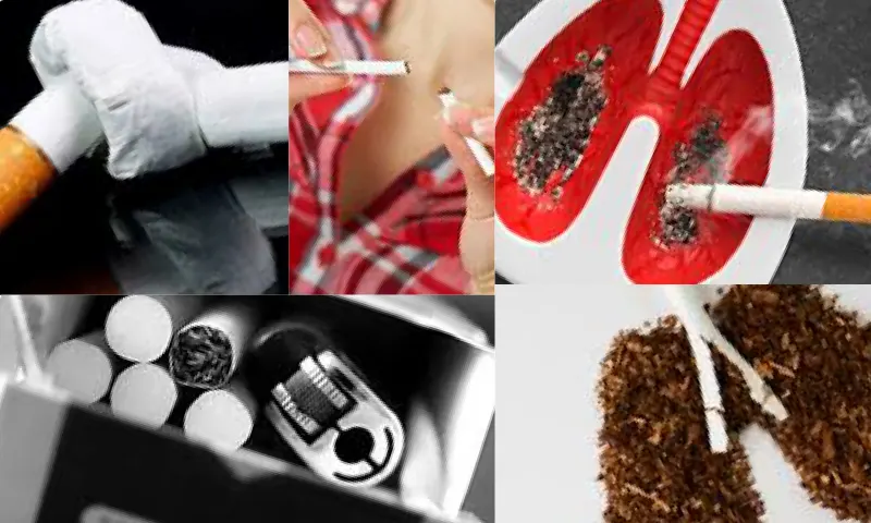 Sigara ve Akciğer Kanseri Arasındaki İlişki