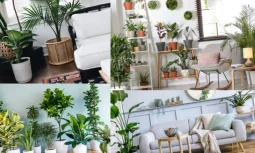 Doğayla İç İçe Bir Yaşam: Evde Bitki Yetiştirmenin Önemi