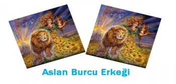 Aslan Burcu Erkeğinin Genel Özellikleri