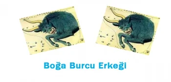 Boğa Burcu Erkeği