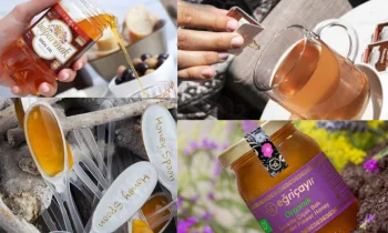 Honey Spoons For Tea'nin Çeşitleri Nelerdir?