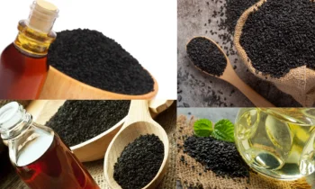 Black Seed Oil (Çörek Otu Yağı) Nedir?