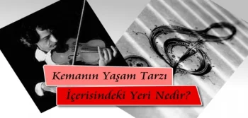 Kemanın Yaşam Tarzı İçerisindeki Yeri Nedir?