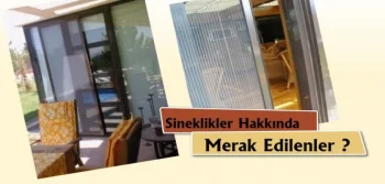 Sineklikler Hakkında Merak Edilenler