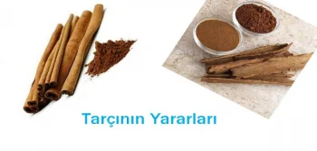 Tarçının Faydaları