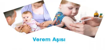 Verem Aşısı Hakkında Bilinmesi Gerekenler