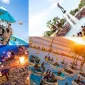Beach Party: Yaz Tatillerinin Vazgeçilmezi
