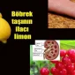 Böbrek Taşında Bitkisel Çözüm