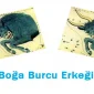 Boğa Burcu Erkeği