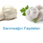 Sarımsağın Mucize Faydaları