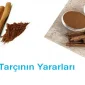 Tarçının Faydaları