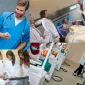 Studying Medicine: A Challenging But Rewarding Journey